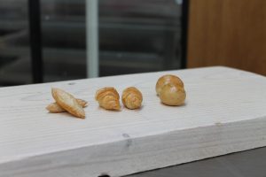 1 april: Bakery Institute lanceert géén nieuwe cursus Microbakkerij